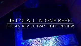 Ocean Revive T247 LED Light 8 month Review !!