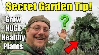This Secret Garden Tip Will Make Your Plants HUGE & Healthy!