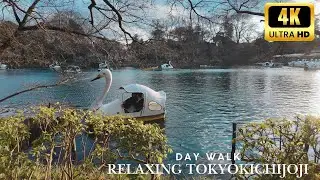 【4K】Tokyo Kichijoji | POV Casual City Walk: Most Popular Town & Inokashira Park (Day)