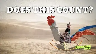 Наблюдение за птицами на фестивале Burning Man (что я увидел на самом деле)
