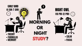 Best Time to Study: Early Morning or Late Night? (Scientific Answer)