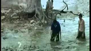 Lake Bonney Channel 7