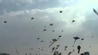 Cerfs-volants Berck 2011 - Ray Bethell
