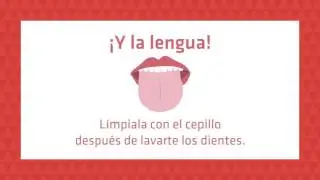 9 pasos para mantener una sonrisa perfecta   PHB Salud Bucal