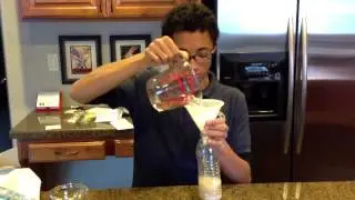 Beehive Stem Project - Yeast In Action