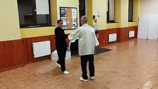Application martiale Fermeture apparente vue de profil arri&egrave;re Tai Chi style Yang