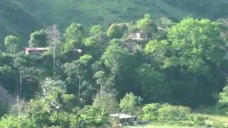 Los Amates Izabal Aldea Jubuquito