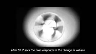 Visualization of currents inside an oscillating