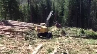 Tigercat 855c