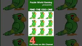 Spot the odd object one out | Find the hidden object