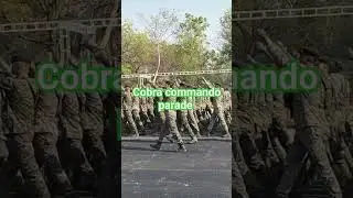 Cobra 🐍 Commando #motivation #tranding #viral #cobra.commando#status #bharat 👍🇮🇳❤️