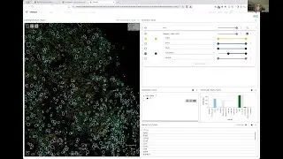 Clojure for biomedical research - Mike Travers - a snippet of Clojure real-world-data meeting 34
