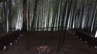 2021 05 08 竹寺