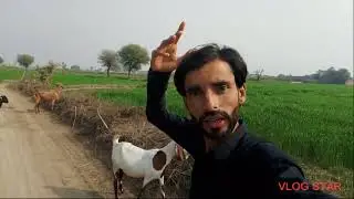 Hamare kheton per hamari kheton per prakriya nuksan Kar Diya