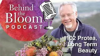 Episode 4: Companion Podcast for Life in Bloom - Episode 102- Protea-  Long Term Beauty