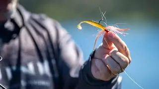 What is the Best Color Lure for Walleye?