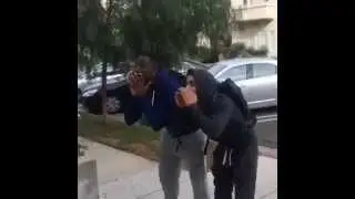when you mess with the wrong dog clever vines