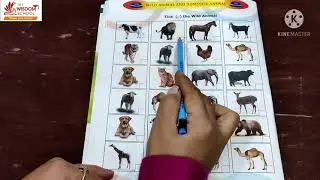 Nursery/ Activity 1/ Circle the Wild Animals /February 6