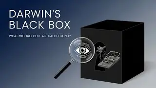 Darwin&rsquo;s Black Box: What Michael Behe Actually Found?