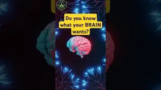 Top 10 Brain Foods to BOOST Memory, Focus & Mental Clarity! #shorts #health #brainfoods