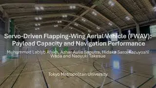 Servo-Driven Flapping-Wing Aerial Vehicle (FWAV): Payload Capacity and Navigation Performance
