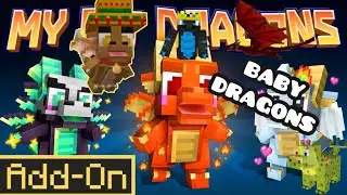 MY PET DRAGONS ADDON REVIEW
