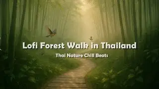 Forest Walk Thailand 🌿 | Peaceful Thai Lofi Beats + Nature Sounds for Relaxing, Studying, and Focus