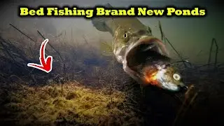 BED FISHING Never Before Seen NEIGHBORHOODS For Big Bass!