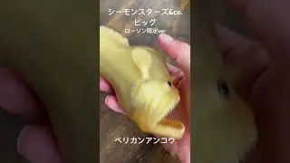 シーモンスターズ&co.ビッグ　ローソン限定ver ペリカンアンコウ