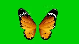 #Green_Skin_Video গ্রীন স্কিন প্রজাপতি 🦋 ভিডিও #free_video#Green_Video_Making
