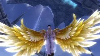 [Aion 5.1] High Daeva Craft Wings