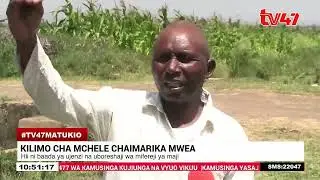 Uzalisaji wa mchele wazidi kuongezeka baada ya kuboresha mifereji ya maji Mwea