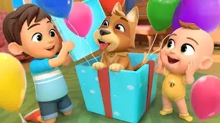 Bingo Puppy Song | Baby&rsquo;s First Pet Adventure + More Newborn Baby Songs & Nursery Rhymes