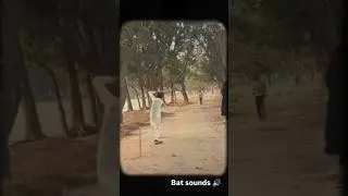 Bat sound 🔊 #shorts #song #cricket