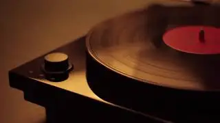 Vinyl Record Crackle White Noise - 8 HOURS Black Screen - Focus, Study, Relax & Deep Sleep Cycle