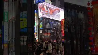 Impressive! #opticalillusion #shinjuku #3dcat