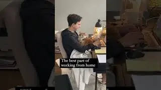the best part of working from home