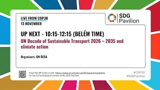 13 ноября &ndash; Десятилетие устойчивого транспорта ООН (2026&ndash;2035) и борьба с изменением климата &ndash; Па...