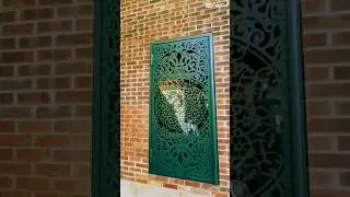 Exterior laser door for protection #metalwork #ironworkdesign #construction #stickwelding