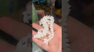 3D Dragon eggs toy from shopee #dragoneggs #dragon #3dtoys #shopee