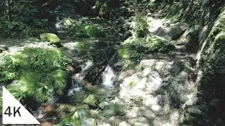 【4K】Bounooreyama: Walking from Shiratanisawa