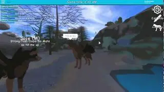 WOLVES LIFE BETA! (ANIMATIONS AND FLYING) XD XD