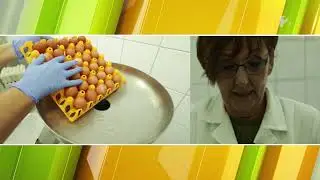 Agrártúra - Tészta készítés