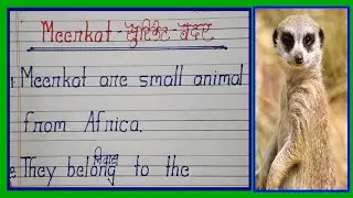 😹10 Lines on Meerkat in English | Who is Meerkat Animal | About Meerkat in English | Meerkat Kya Hai