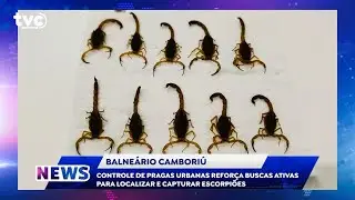 TVC NEWS   20/01/26   BLOCO 2