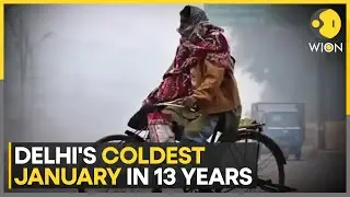 India: Delhi witnessed its coldest January in 13 years: Weather department | WION