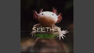 Butterfly With Teeth (Demo Version)