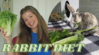 What My Rabbit Eats In A Day | healthy rabbit diet