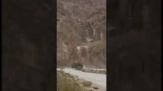 Flash flood in the Judean Desert near Qumran, Dead Sea region. #shorts
