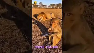 Savu payatha kattita parama| #comedy #public #youtubeshorts #viralvideo #shorts #shortsfeed #viral